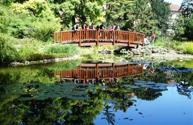 https://mdw-travel-data-us-east-1.s3.amazonaws.com/img/country/Croatia/Zagreb-Botanical-Garden/img_01.jpg