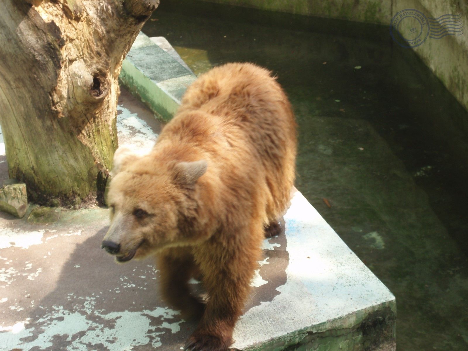 https://mdw-travel-data-us-east-1.s3.amazonaws.com/img/country/Croatia/Zagreb-Zoo/img_02.jpg