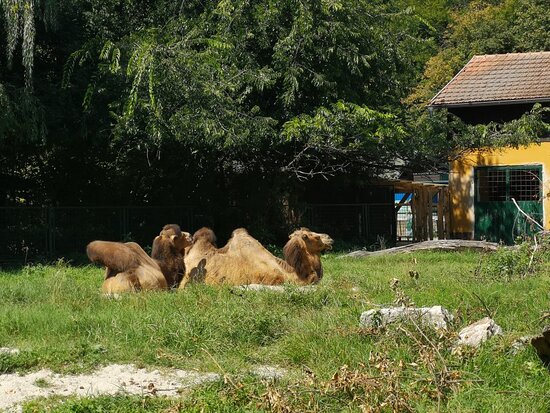 https://mdw-travel-data-us-east-1.s3.amazonaws.com/img/country/Croatia/Zagreb-Zoo/img_03.jpg