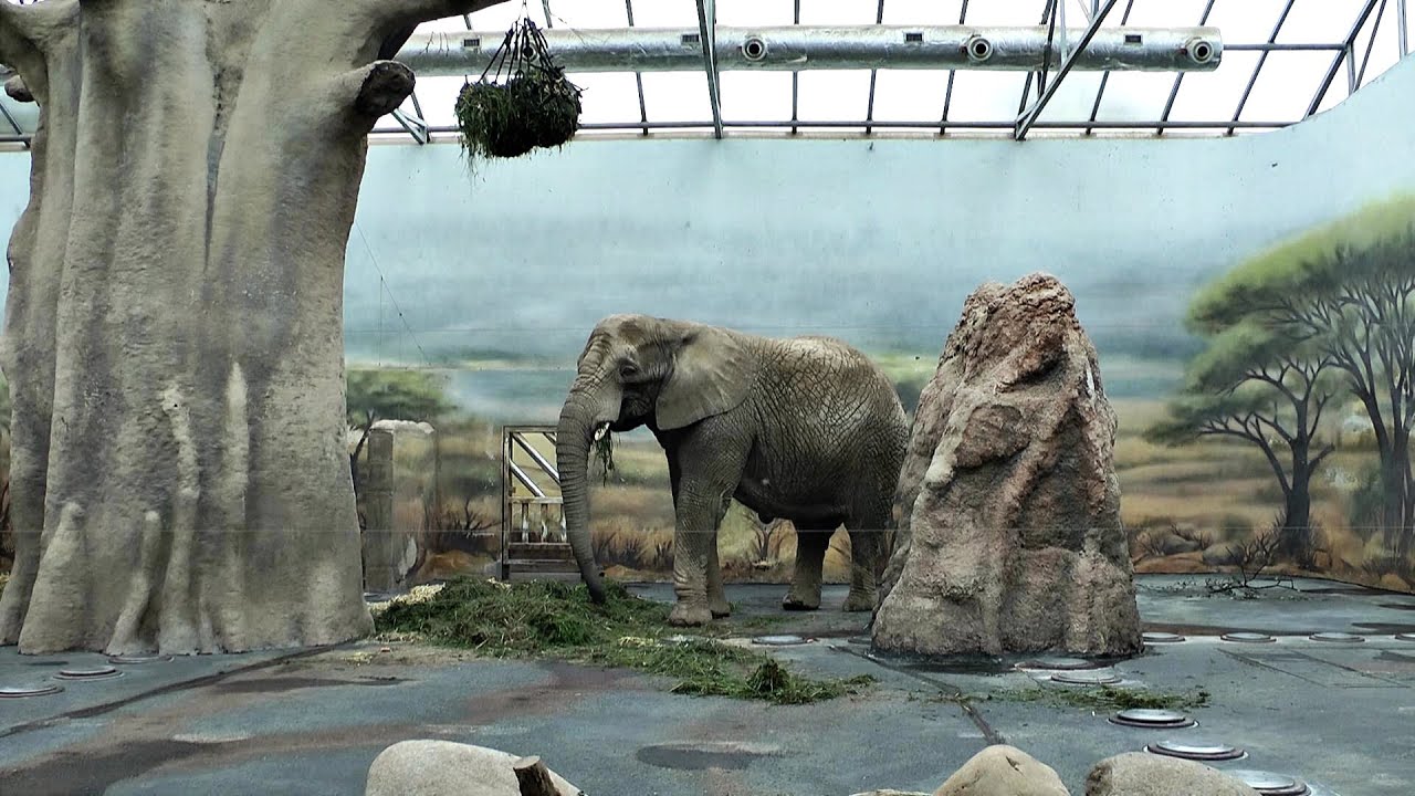 https://mdw-travel-data-us-east-1.s3.amazonaws.com/img/country/Czech-Republic/Benesov-Zoo/img_02.jpg