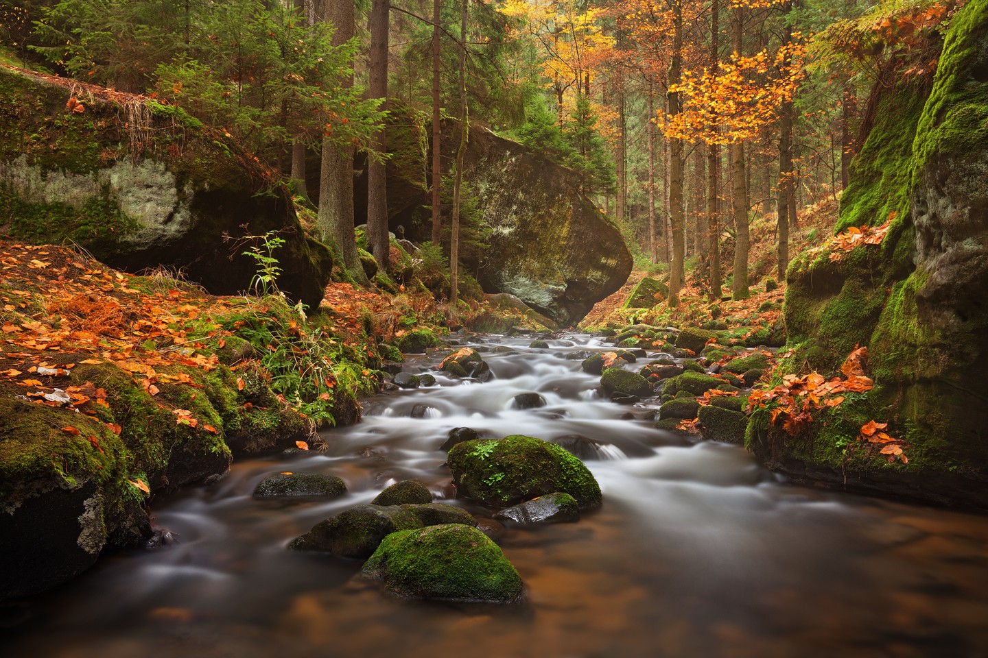https://mdw-travel-data-us-east-1.s3.amazonaws.com/img/country/Czech-Republic/Bohemian-Switzerland-National-Park/img_01.jpg