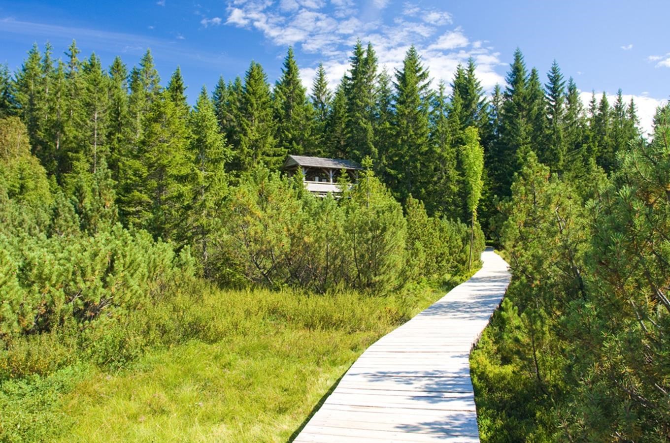 https://mdw-travel-data-us-east-1.s3.amazonaws.com/img/country/Czech-Republic/Borova-Lada-National-Park/img_03.jpg