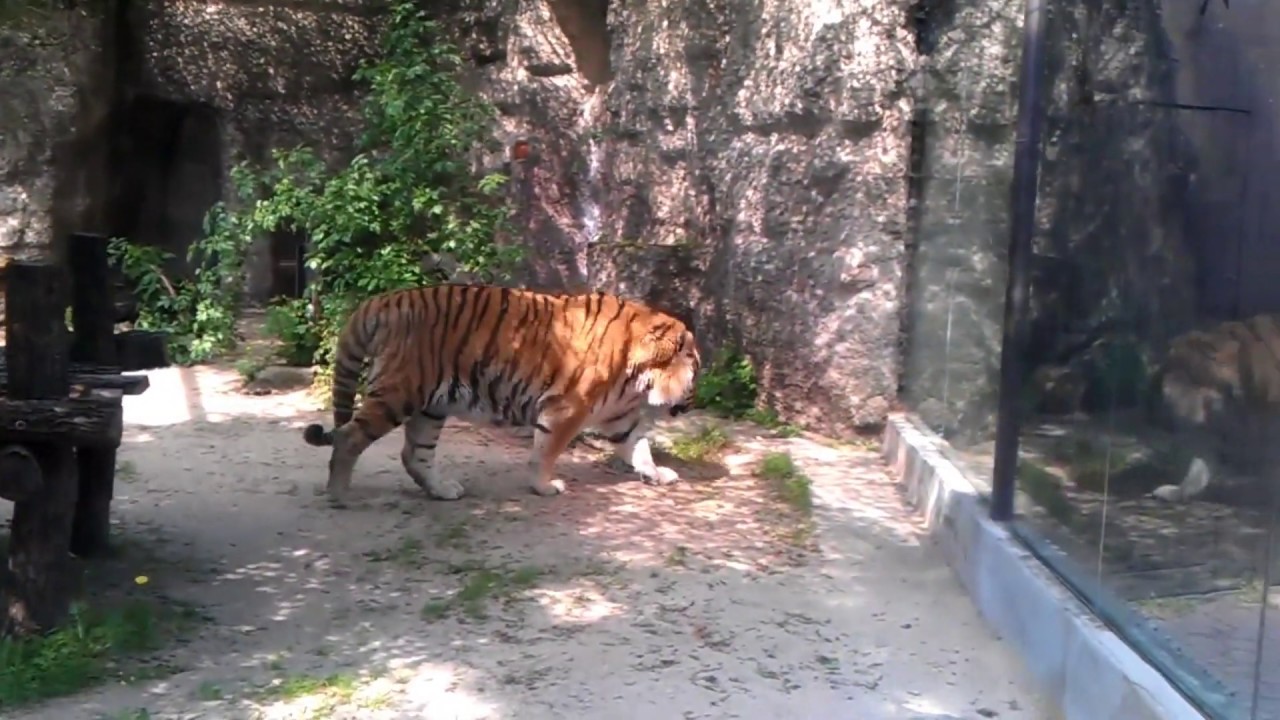 https://mdw-travel-data-us-east-1.s3.amazonaws.com/img/country/Czech-Republic/Decin-Zoo/img_02.jpg