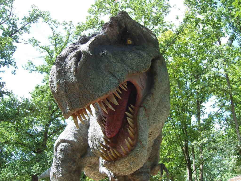https://mdw-travel-data-us-east-1.s3.amazonaws.com/img/country/Czech-Republic/DinoPark/img_01.jpg