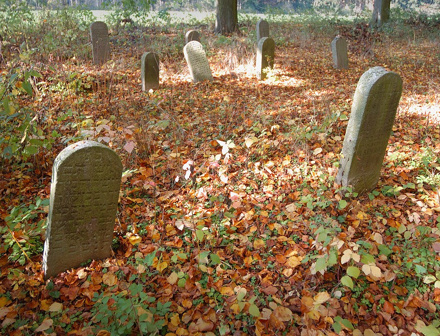 https://mdw-travel-data-us-east-1.s3.amazonaws.com/img/country/Czech-Republic/Jewish-Cemetery-in-Havlickuv-Brod/img_01.jpg