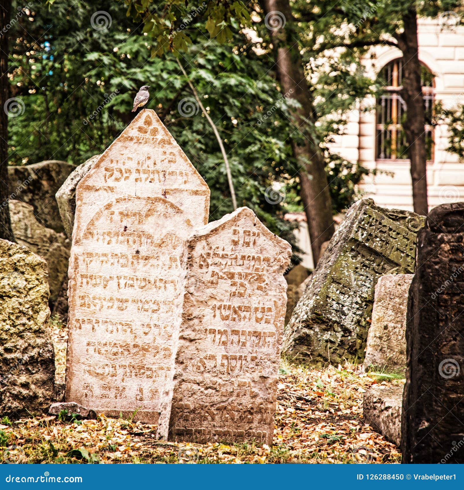 https://mdw-travel-data-us-east-1.s3.amazonaws.com/img/country/Czech-Republic/Jewish-Cemetery/img_02.jpg