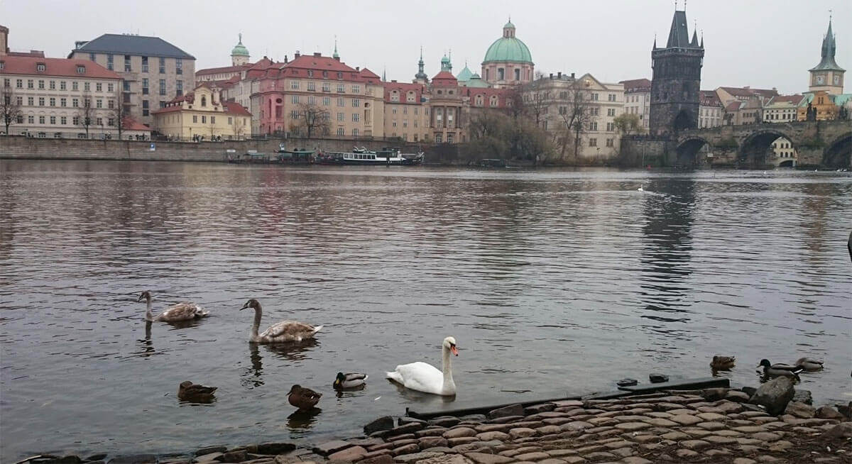 https://mdw-travel-data-us-east-1.s3.amazonaws.com/img/country/Czech-Republic/Kampa-Island/img_04.jpg
