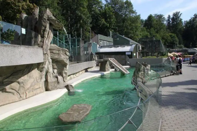 https://mdw-travel-data-us-east-1.s3.amazonaws.com/img/country/Czech-Republic/Liberec-Zoo/img_00.jpg