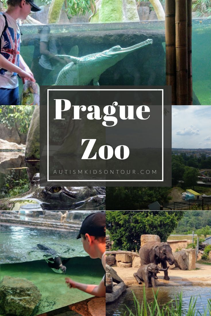 https://mdw-travel-data-us-east-1.s3.amazonaws.com/img/country/Czech-Republic/Litomysl-Zoo/img_01.jpg