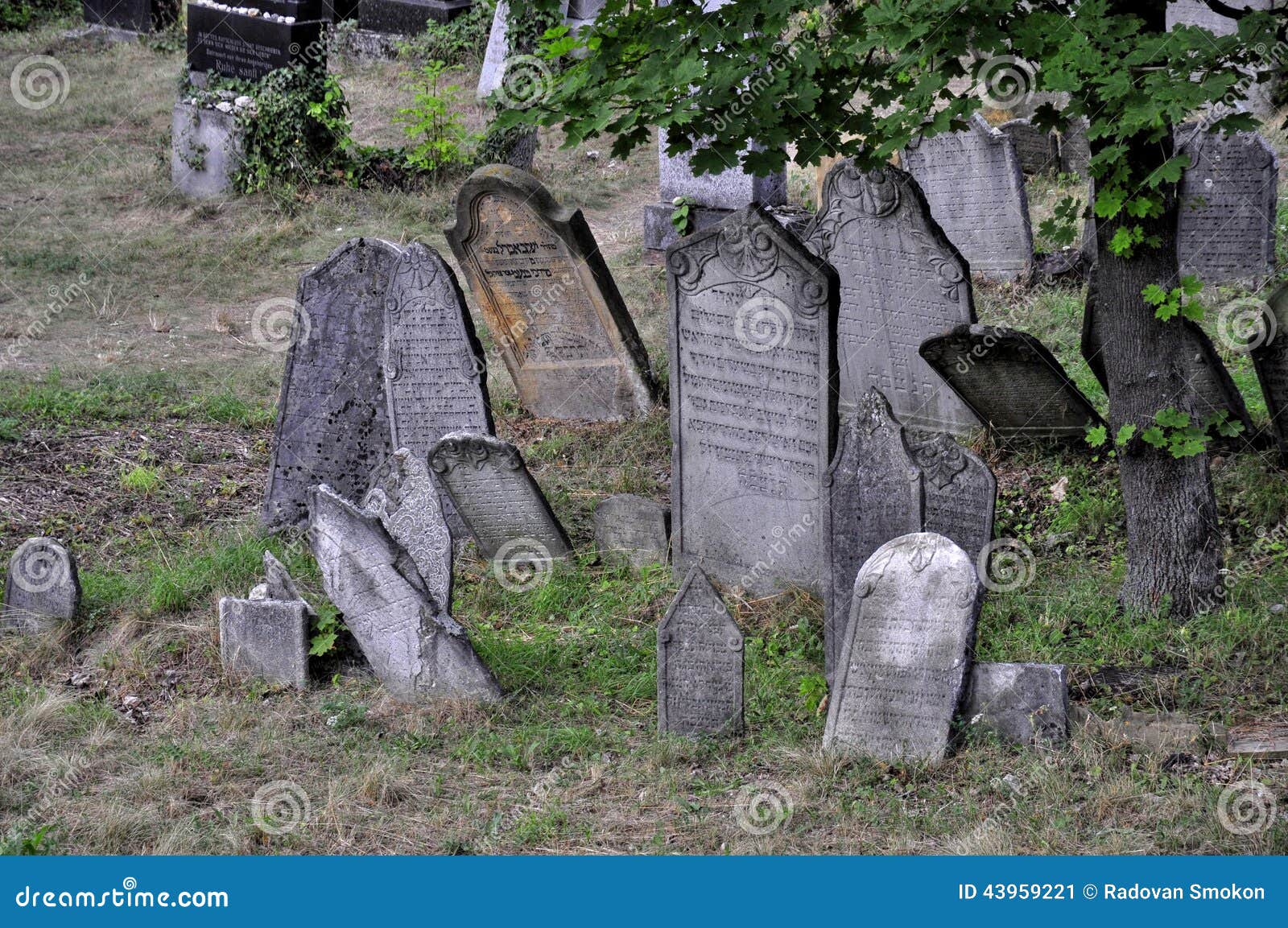 https://mdw-travel-data-us-east-1.s3.amazonaws.com/img/country/Czech-Republic/Mikulov-Jewish-Cemetery/img_01.jpg