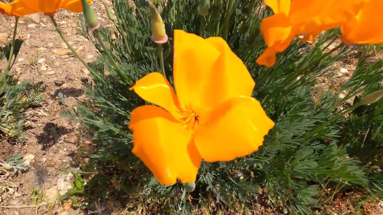 https://mdw-travel-data-us-east-1.s3.amazonaws.com/img/country/Czech-Republic/Olomouc-Botanical-Gardens/img_02.jpg