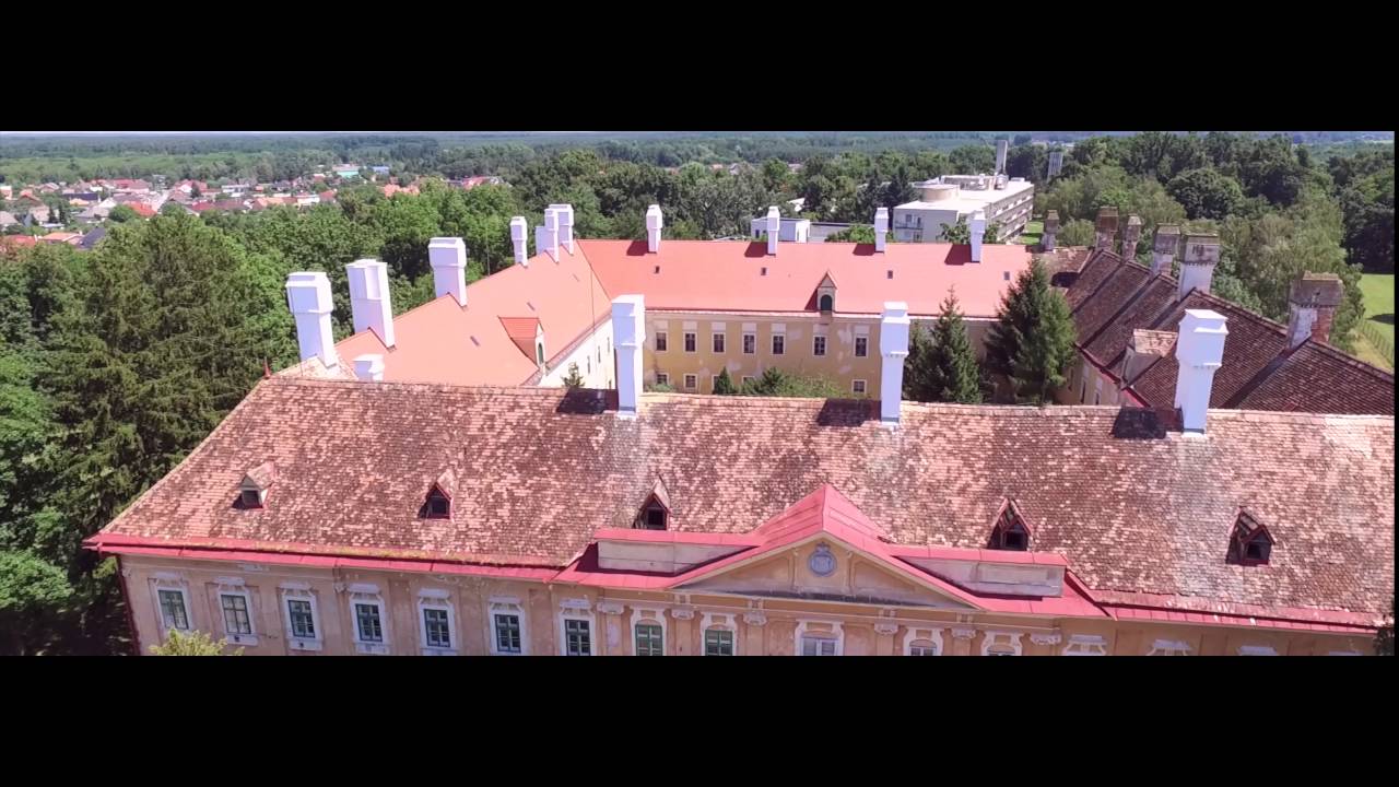 https://mdw-travel-data-us-east-1.s3.amazonaws.com/img/country/Czech-Republic/Palffy-Palace/img_02.jpg