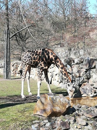 https://mdw-travel-data-us-east-1.s3.amazonaws.com/img/country/Czech-Republic/Pilsen-Zoo/img_02.jpg