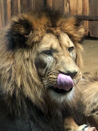 https://mdw-travel-data-us-east-1.s3.amazonaws.com/img/country/Czech-Republic/Pilsen-Zoo/img_03.jpg