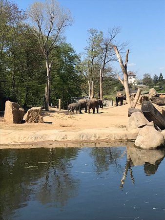 https://mdw-travel-data-us-east-1.s3.amazonaws.com/img/country/Czech-Republic/Prague-Zoo/img_01.jpg