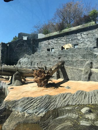 https://mdw-travel-data-us-east-1.s3.amazonaws.com/img/country/Czech-Republic/Prague-Zoo/img_03.jpg