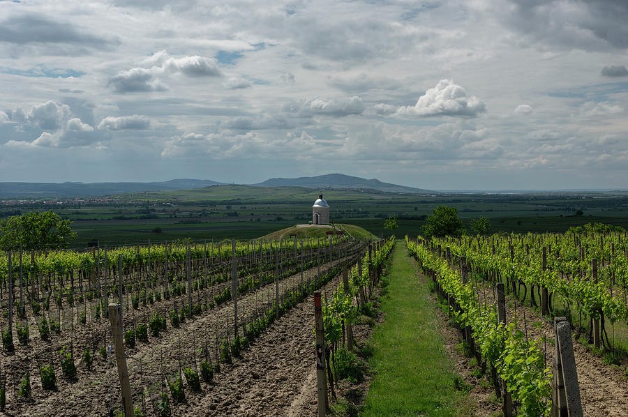 https://mdw-travel-data-us-east-1.s3.amazonaws.com/img/country/Czech-Republic/Velka-Dohoda-Vineyard/img_03.jpg