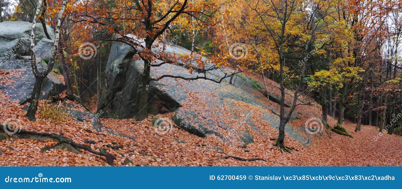 https://mdw-travel-data-us-east-1.s3.amazonaws.com/img/country/Czech-Republic/Vrchy-Hills/img_03.jpg