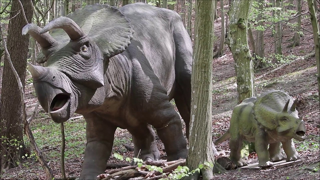 https://mdw-travel-data-us-east-1.s3.amazonaws.com/img/country/Czech-Republic/Zoo-and-DinoPark-Terasy/img_02.jpg