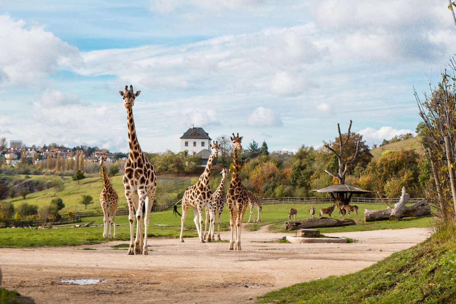 https://mdw-travel-data-us-east-1.s3.amazonaws.com/img/country/Czech-Republic/Zoologicka-zahrada/img_02.jpg