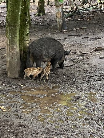 https://mdw-travel-data-us-east-1.s3.amazonaws.com/img/country/Denmark/AQUA-Aquarium-&-Wildlife-Park/img_01.jpg