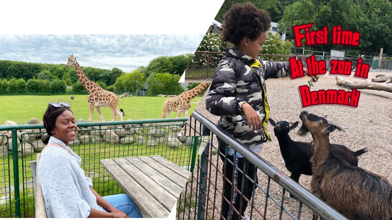 https://mdw-travel-data-us-east-1.s3.amazonaws.com/img/country/Denmark/Alborg-Zoo/img_03.jpg