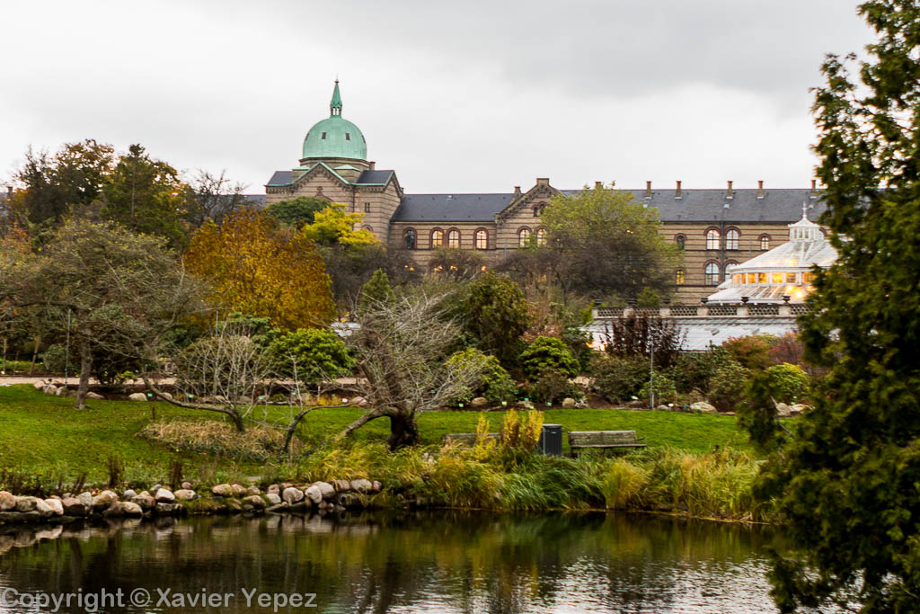 https://mdw-travel-data-us-east-1.s3.amazonaws.com/img/country/Denmark/Botanical-Garden/img_02.jpg