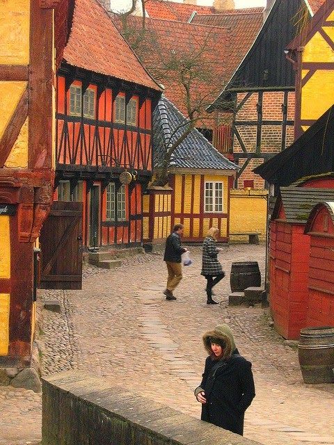 https://mdw-travel-data-us-east-1.s3.amazonaws.com/img/country/Denmark/Den-Gamle-By/img_01.jpg