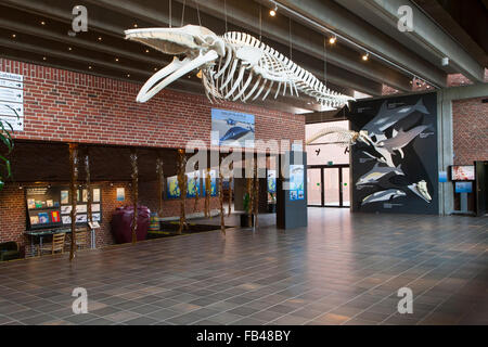 https://mdw-travel-data-us-east-1.s3.amazonaws.com/img/country/Denmark/Fishing-and-Maritime-Museum/img_01.jpg