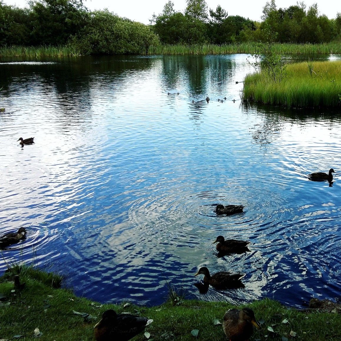 https://mdw-travel-data-us-east-1.s3.amazonaws.com/img/country/Denmark/Givskud-Zoo/img_01.jpg