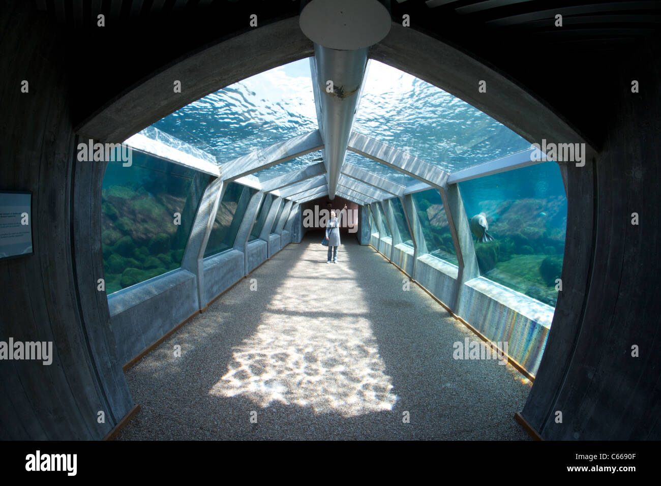 https://mdw-travel-data-us-east-1.s3.amazonaws.com/img/country/Denmark/Hirtshals-Aquarium/img_00.jpg