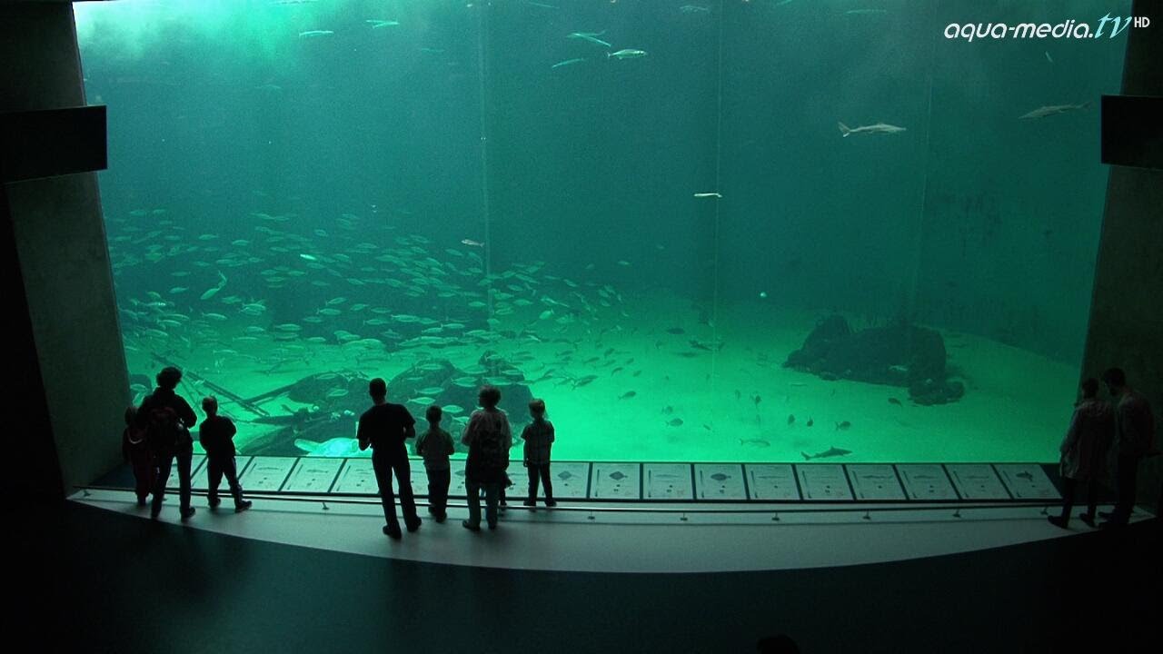 https://mdw-travel-data-us-east-1.s3.amazonaws.com/img/country/Denmark/Hirtshals-Aquarium/img_01.jpg