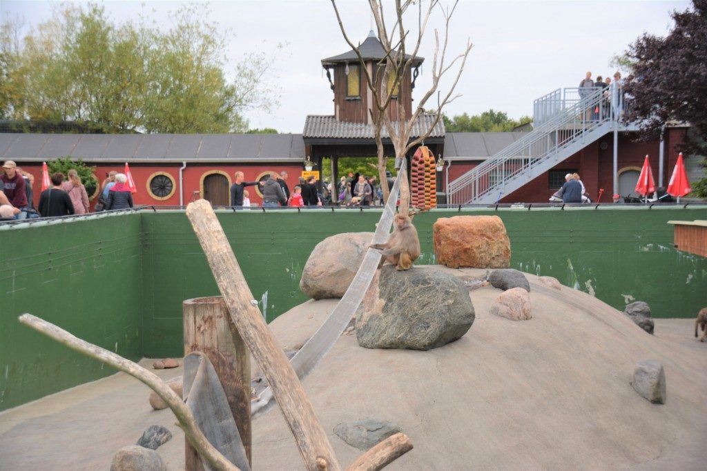 https://mdw-travel-data-us-east-1.s3.amazonaws.com/img/country/Denmark/Jyllands-Park-Zoo/img_02.jpg