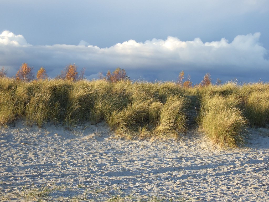 https://mdw-travel-data-us-east-1.s3.amazonaws.com/img/country/Denmark/Koge-Bugt-Strandpark/img_00.jpg