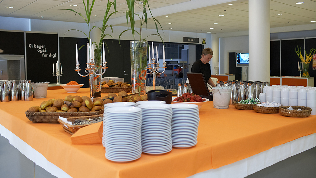 https://mdw-travel-data-us-east-1.s3.amazonaws.com/img/country/Denmark/Messe-C-Fredericia/img_03.jpg