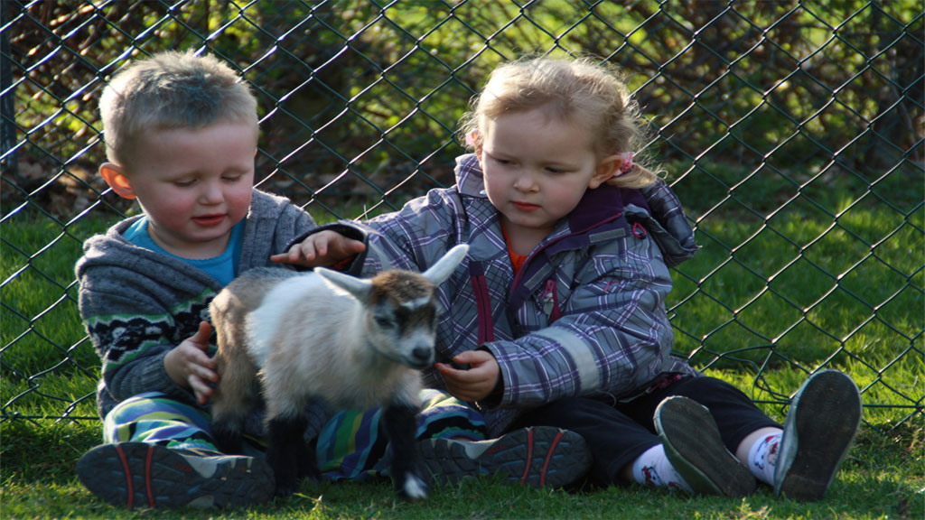 https://mdw-travel-data-us-east-1.s3.amazonaws.com/img/country/Denmark/Munkholm-Zoo/img_00.jpg