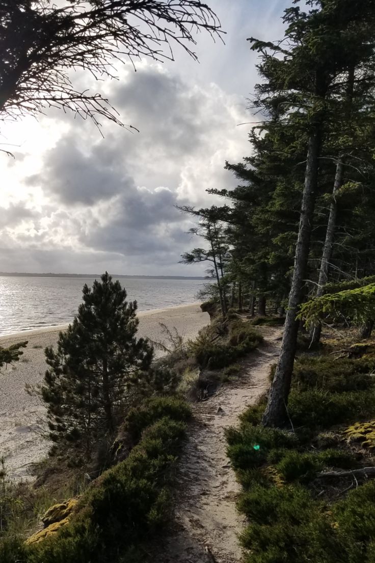 https://mdw-travel-data-us-east-1.s3.amazonaws.com/img/country/Denmark/Nationalpark-Vadehavet/img_02.jpg