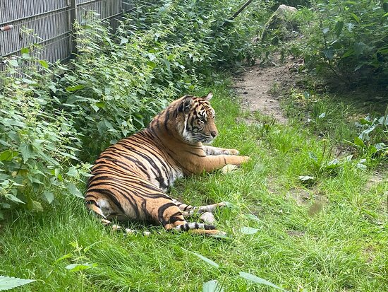 https://mdw-travel-data-us-east-1.s3.amazonaws.com/img/country/Denmark/Ree-Park---Ebeltoft-Safari/img_02.jpg