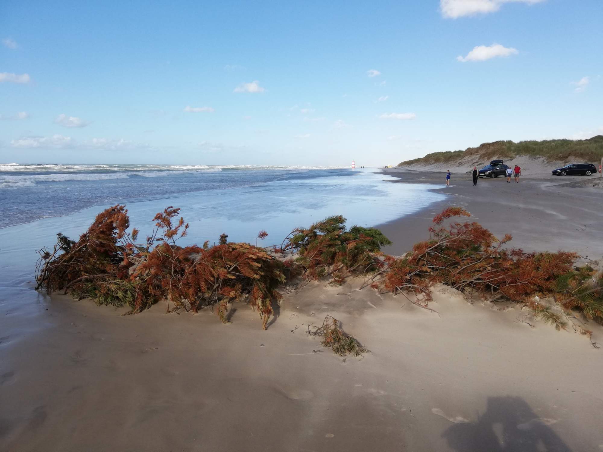 https://mdw-travel-data-us-east-1.s3.amazonaws.com/img/country/Denmark/Tversted-Dune-Plantation/img_01.jpg