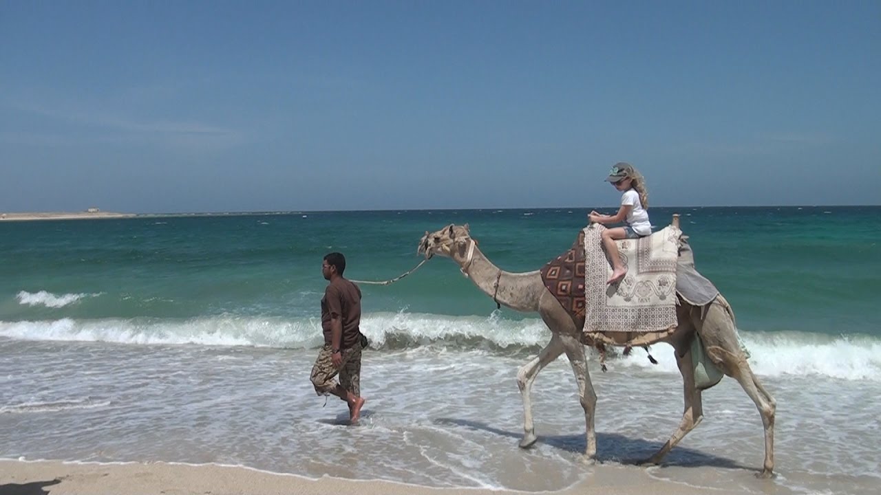 https://mdw-travel-data-us-east-1.s3.amazonaws.com/img/country/Egypt/Abu-Dabbab-Beach/img_02.jpg