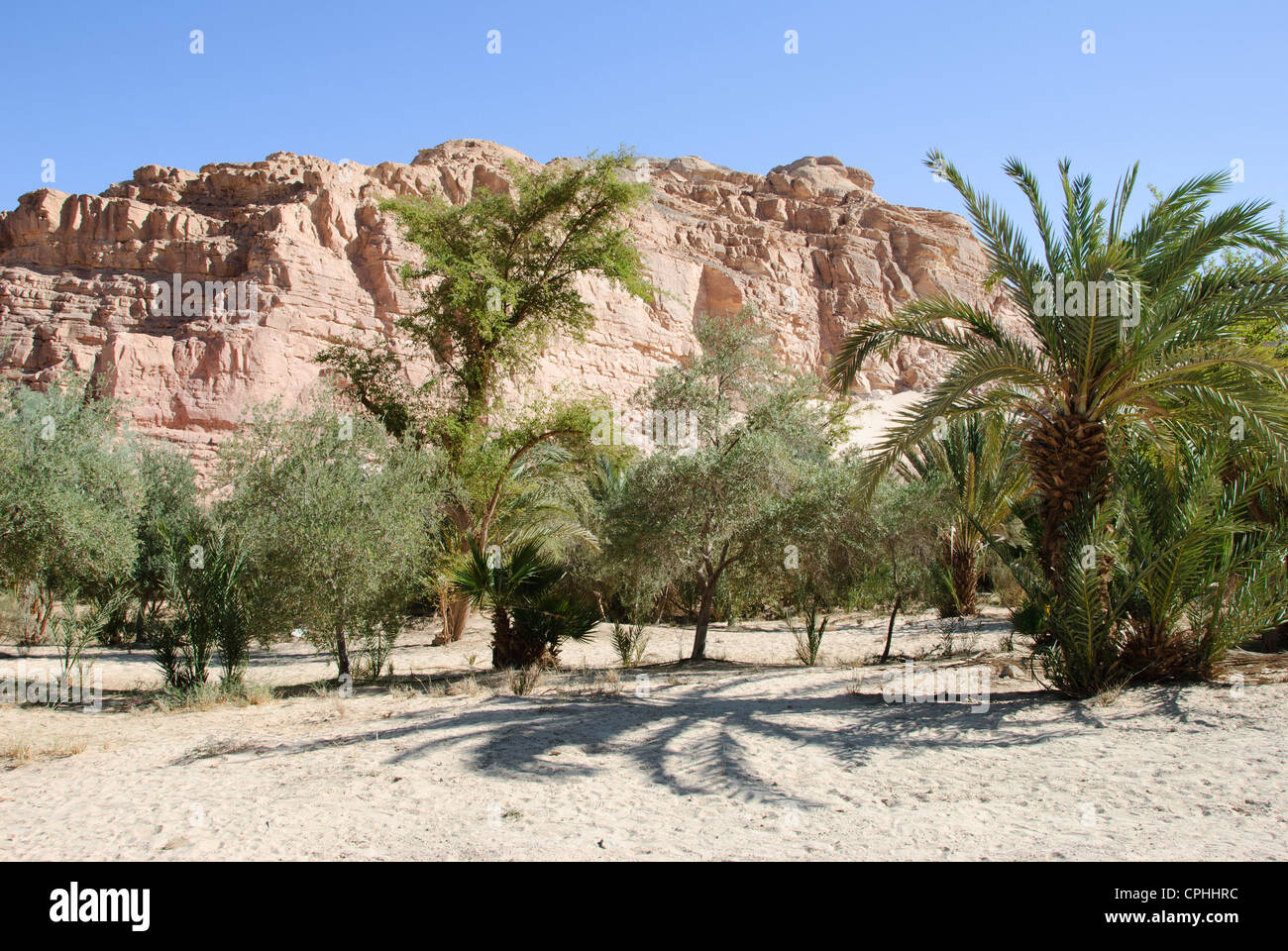 https://mdw-travel-data-us-east-1.s3.amazonaws.com/img/country/Egypt/Ain-Khudra/img_03.jpg