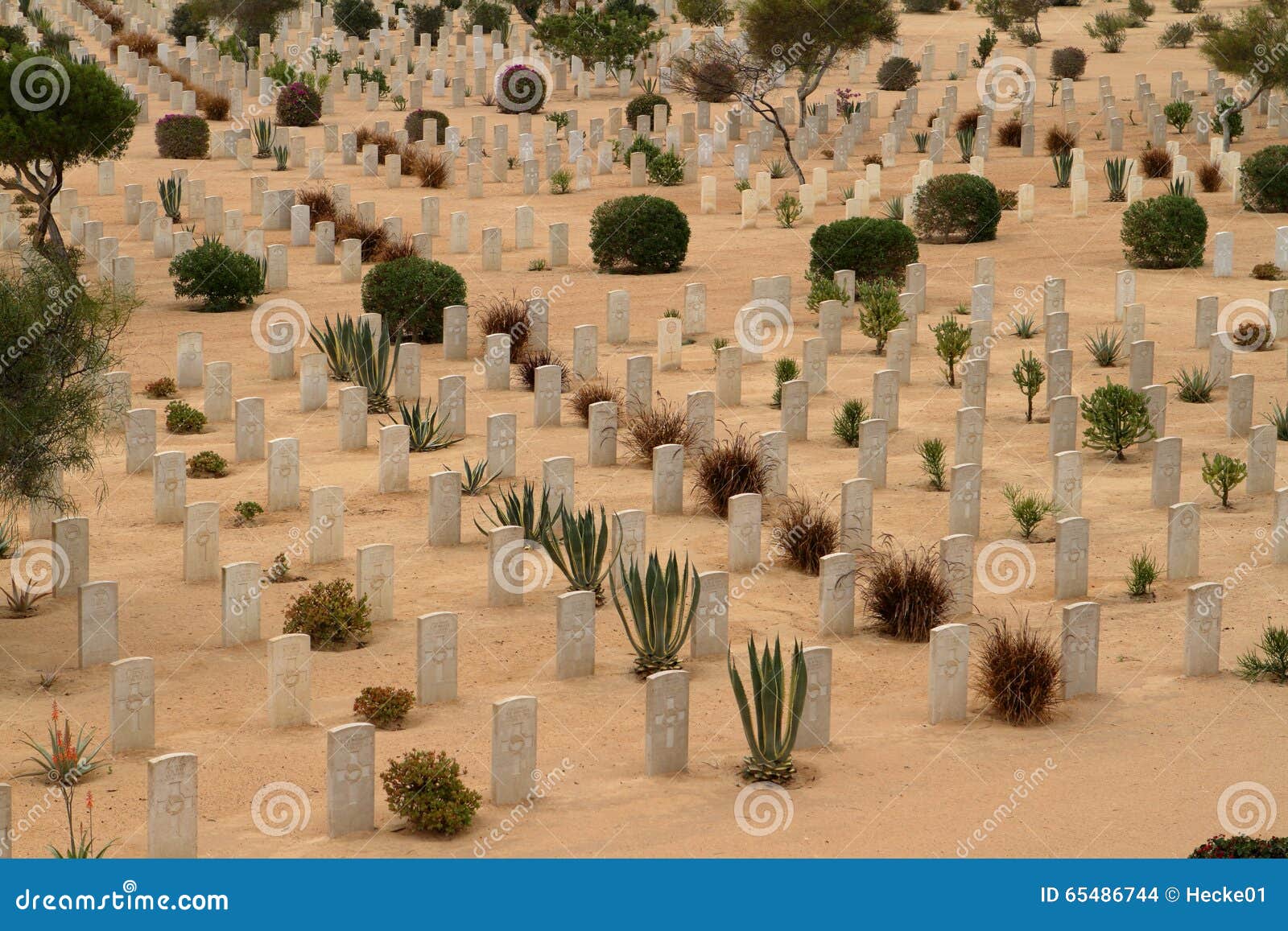 https://mdw-travel-data-us-east-1.s3.amazonaws.com/img/country/Egypt/Alamein-War-Cemetery/img_01.jpg