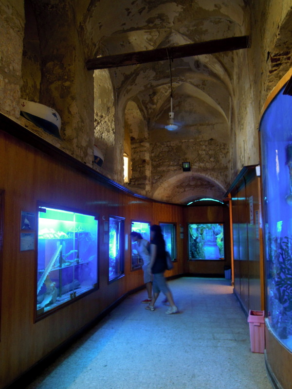 https://mdw-travel-data-us-east-1.s3.amazonaws.com/img/country/Egypt/Alexandria-Aquarium/img_01.jpg