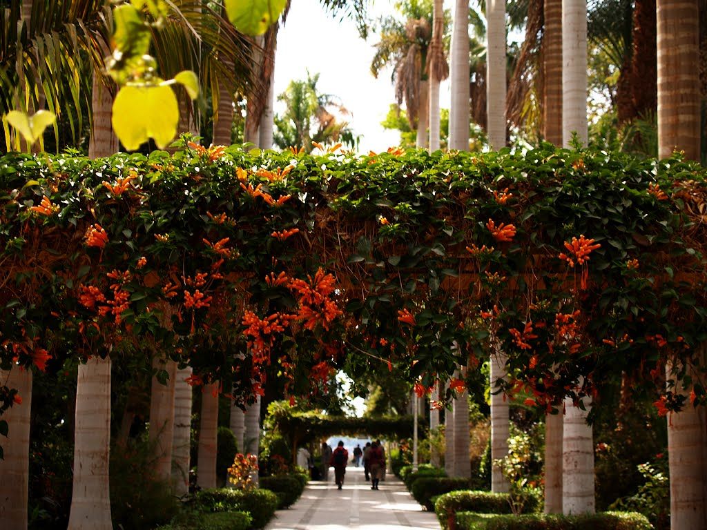 https://mdw-travel-data-us-east-1.s3.amazonaws.com/img/country/Egypt/Aswan-Botanical-Garden/img_02.jpg