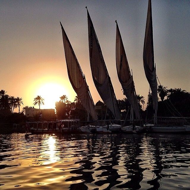 https://mdw-travel-data-us-east-1.s3.amazonaws.com/img/country/Egypt/Banana-Island/img_00.jpg