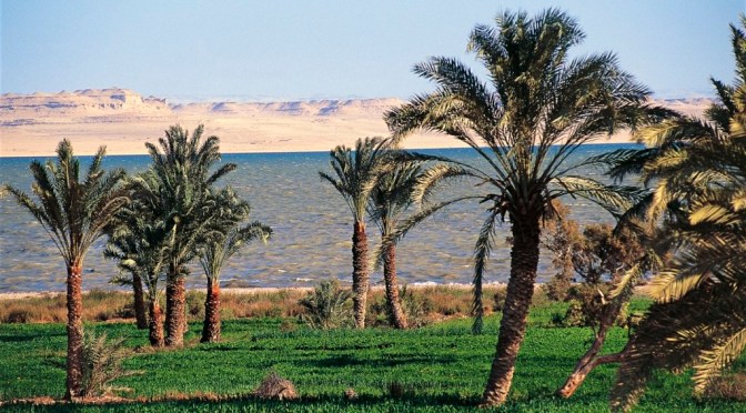 https://mdw-travel-data-us-east-1.s3.amazonaws.com/img/country/Egypt/Birket-Qarun-Protected-Area/img_03.jpg