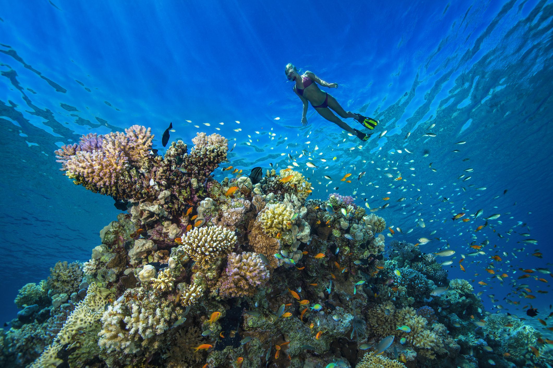 https://mdw-travel-data-us-east-1.s3.amazonaws.com/img/country/Egypt/Diving-Sites/img_02.jpg