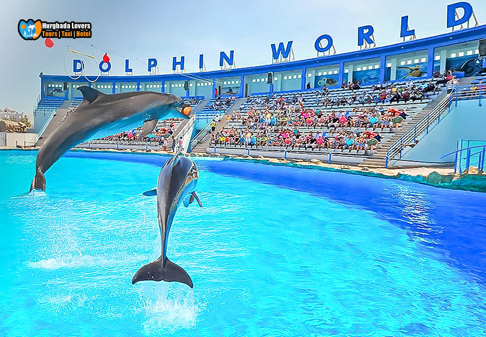 https://mdw-travel-data-us-east-1.s3.amazonaws.com/img/country/Egypt/Dolphin-World-Makadi-Bay/img_01.jpg