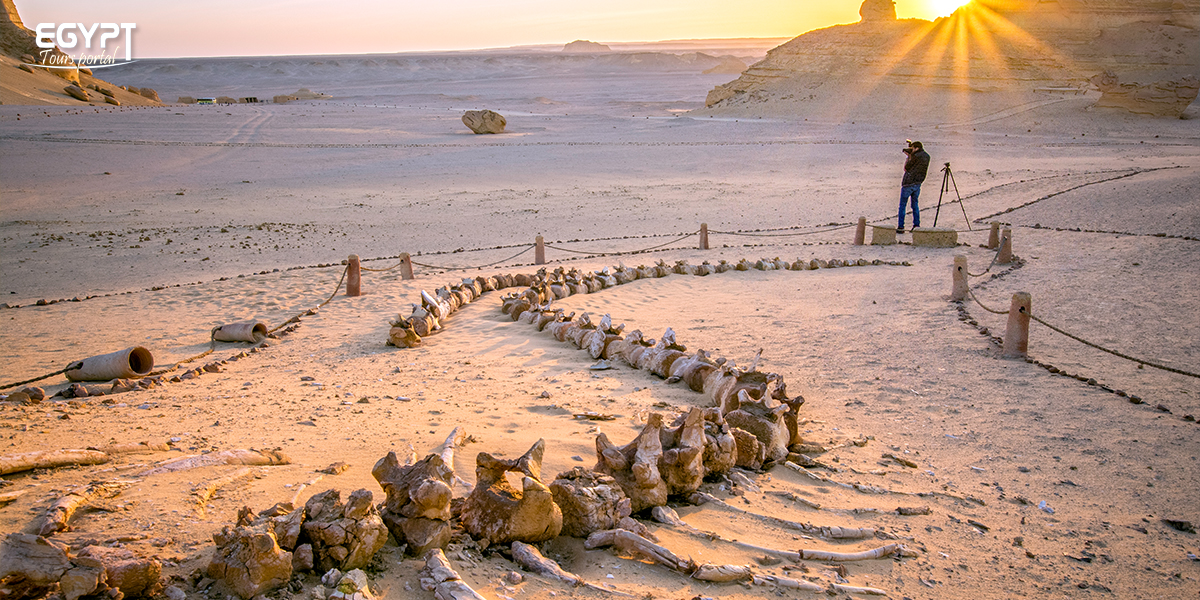 https://mdw-travel-data-us-east-1.s3.amazonaws.com/img/country/Egypt/Faiyum-Oasis/img_03.jpg