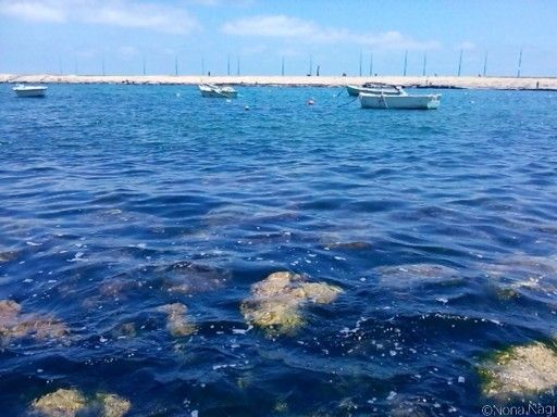 https://mdw-travel-data-us-east-1.s3.amazonaws.com/img/country/Egypt/Gleem-Beach/img_00.jpg